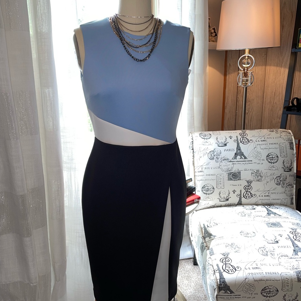 Calvin Klein Asymetrical Hem Sheath